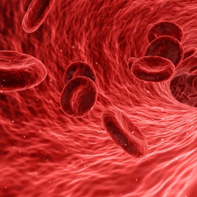 Symbolbild: rote Blutkörperchen